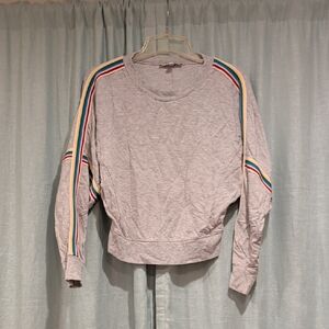 Express Light Gray Knit Sweater